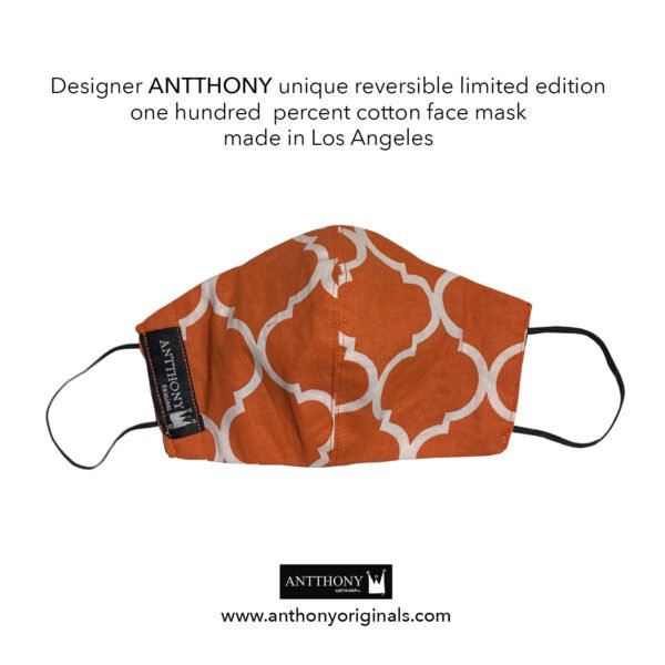 Non-Medical Face Mask (Reversible)<br>Ethnic 12 - Image 2