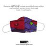 Non-Medical Face Mask (Reversible)<br>Ethnic 4