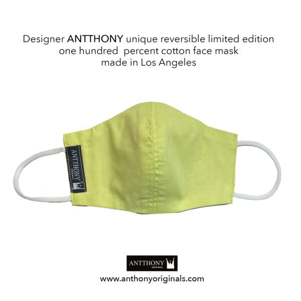 Non-Medical Face Mask (Reversible)<br>Royal Bee Art Geo - Image 2